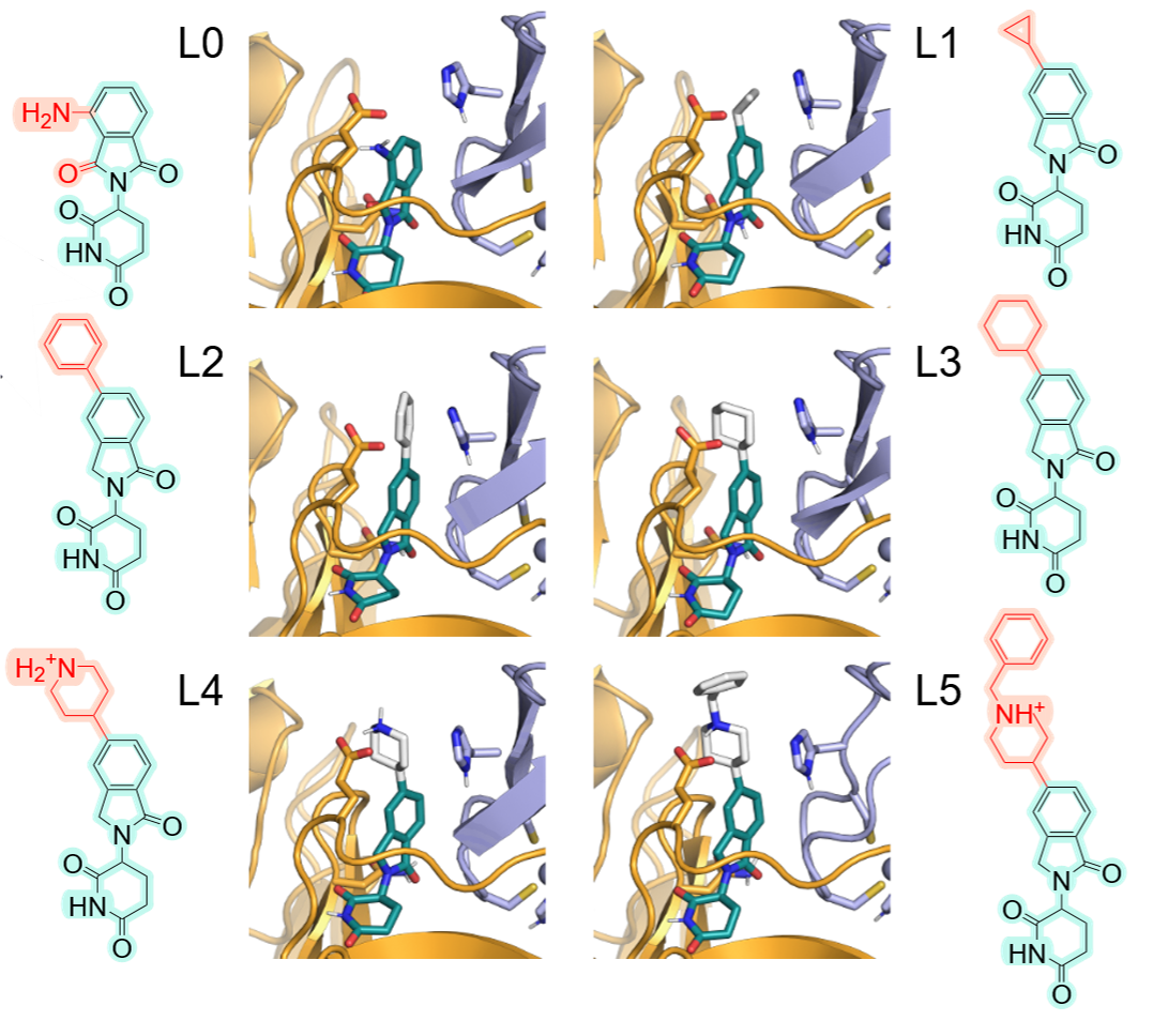 Six molecular-glue ligand structures and their binding poses in the CRBN and IKZF2 interface