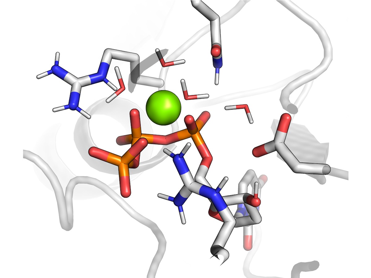 Mg-pinch coordination in a phosphatase active site