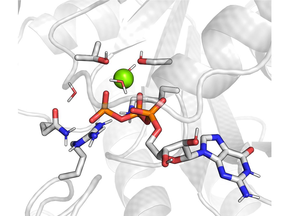 Mg-pinch coordination in a pyrophosphatase active site