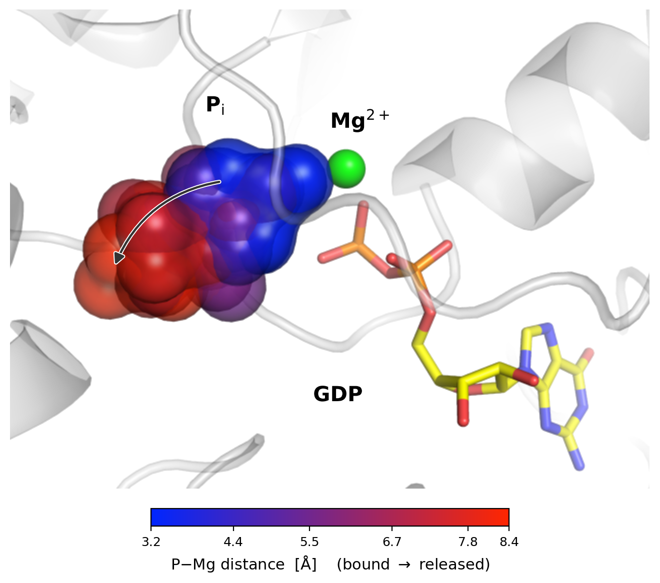 Distance-resolved Ras phosphate-release pathway from magnesium coordination to solvent
